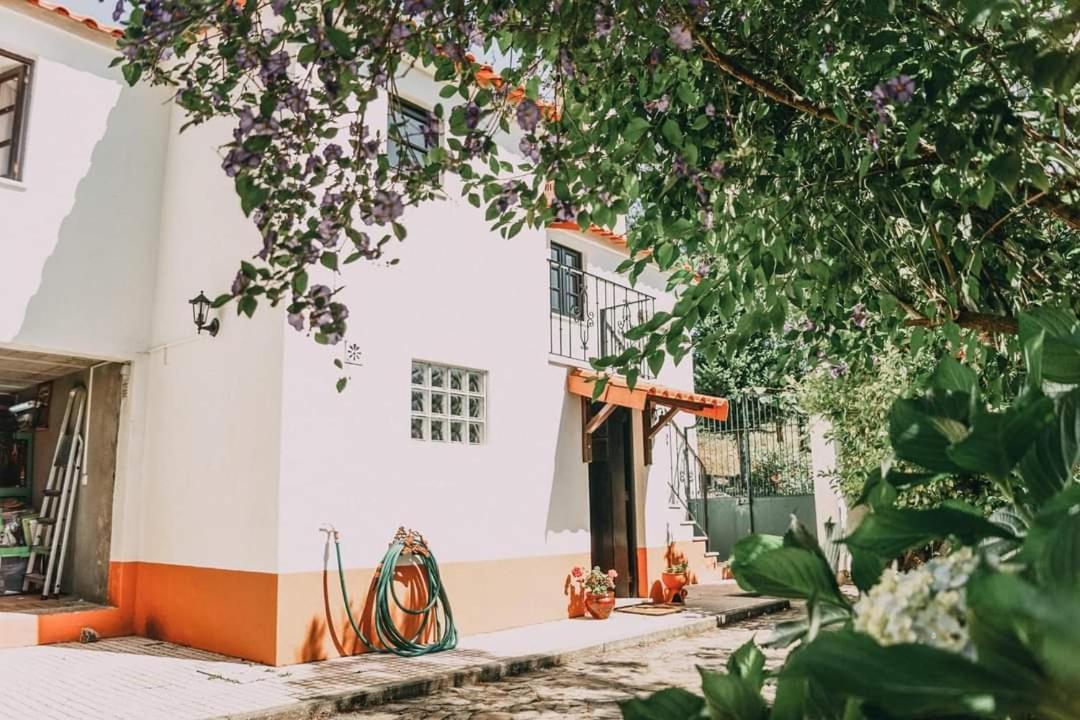 Casa Da Milharica Villa Figueiro Dos Vinhos Exterior photo